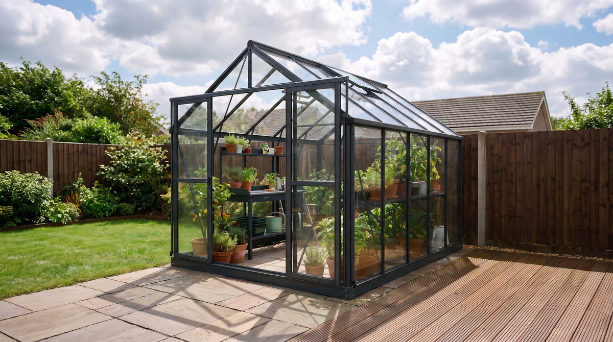 Black greenhouse