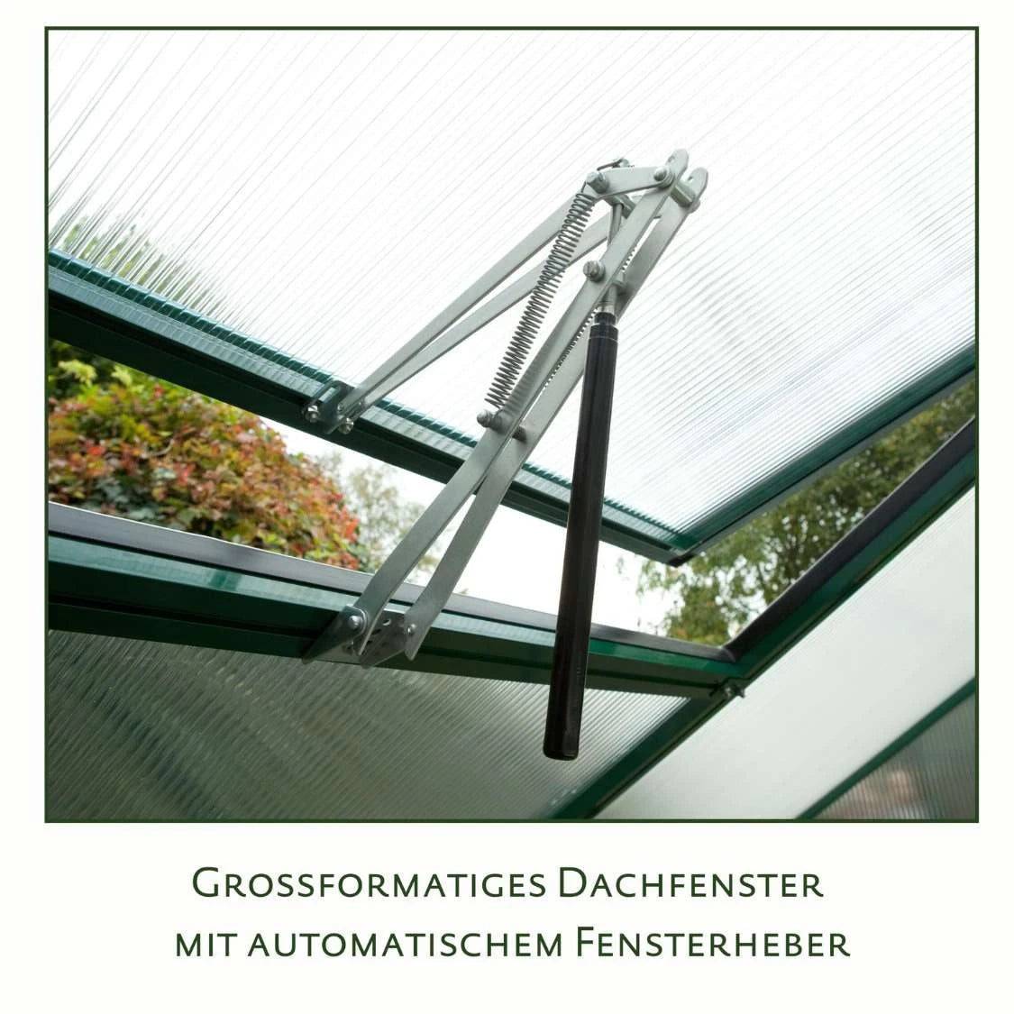 Callas IV Clear Greenhouse KGT – Large Greenhouse, Top Quality
