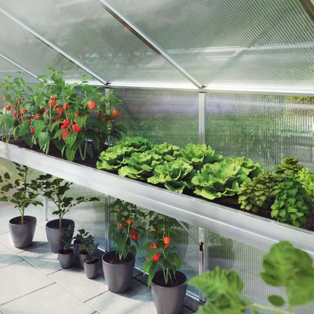 Plant tray Dahlie Typ III